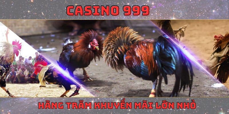 khuyến mãi đá gà trực tiếp casino 999